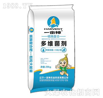 ̼ø���϶�S����-һ��