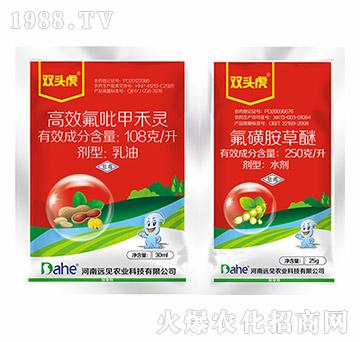 �󶹳��݄��M�����b-�p�^��-�h(yu��n)Ҋ�r(n��ng)�I(y��)