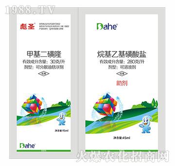 ��ʥ-�h(yu��n)Ҋ�r(n��ng)�I(y��)