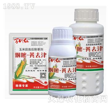 24%����.ݬȥ��-�f���t-�G��