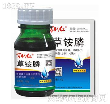 200��ÿ�����@�-�f(w��n)���t-�G��