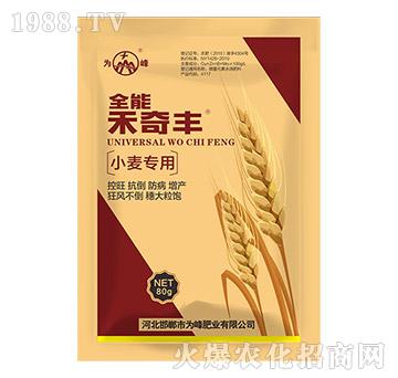 С������ȫ�ܺ����S-���