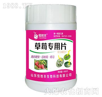 ��ݮ����Ƭ��һ��һƬ��-�����S