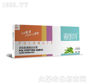 ���(l��i)����-���İ�����������-������