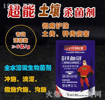 ����������������������-�FѪ��-�~�S�ѳ�����