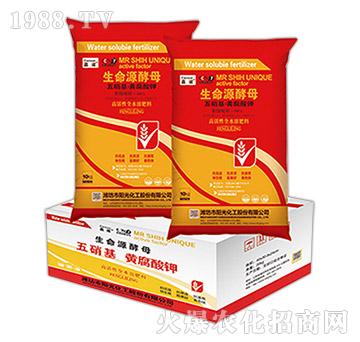 ���������S���������Դ