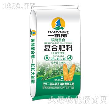 ���׌���̼ø���Ϗ�(f��)�Ϸ�