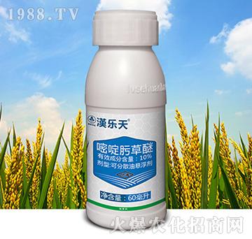 10%���뿲���-�h��(l��)��-�к����_(d��)