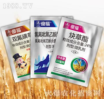 ɵ���M��-�к����_(d��)