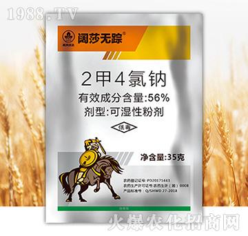 56%���������c-�ɯ�o(w��)ۙ-�к����_(d��)