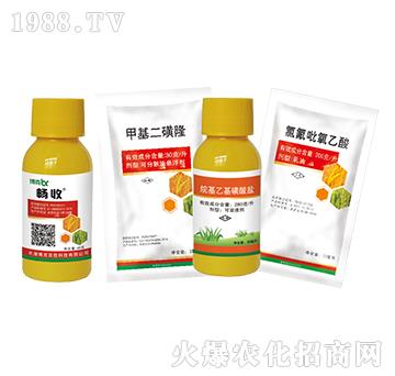 2�ס��p��+�׻�����¡+����һ������}+�ȷ���������-���˰ل�