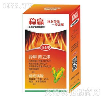 �����(zhu��n)�ó��݄�-��(w��n)�A-�����Ѻ�