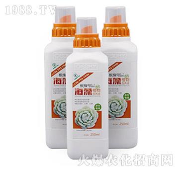 海藻植物營(yíng)養(yǎng)液-多肉專(zhuān)用型