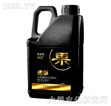 �ٸ�-�����