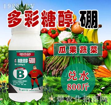 ����Ǵ���-��С��