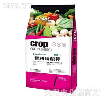 ���������-��̩��