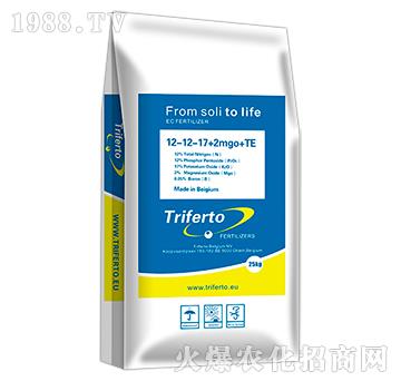 ��(f��)�Ϸ���12-12-17+2MgO+TE-���\