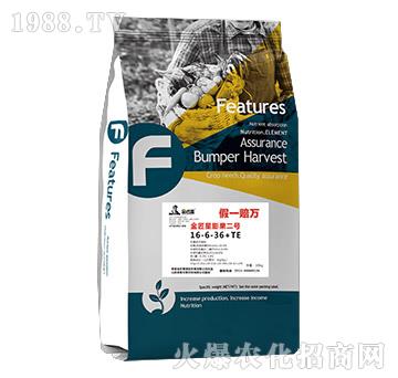 ���������̖(h��o)���16-6-36+TE-����