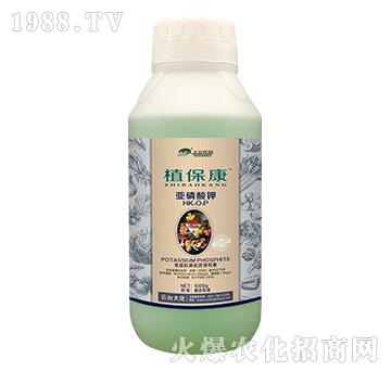 1000gֲ����-���_(t��i)