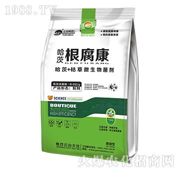 哈茨根腐康-云臺大化