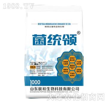 ���y(t��ng)�I-�ĺ�����