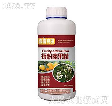 �ڷ�������-Ҽ������