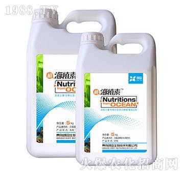 5kg��������ˮ�ܷ���-��ֲ��-�������