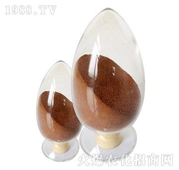 �~����-�������