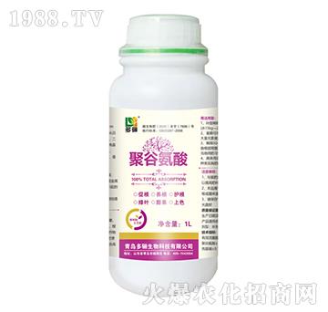 �۹Ȱ���-���P����