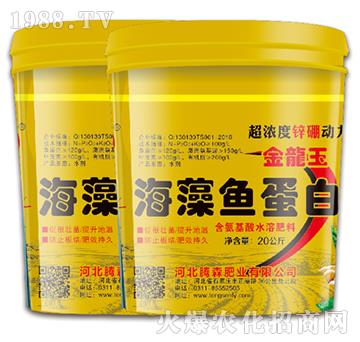 �����~(y��)����-���vɭ-�vɭ�ʘI(y��)