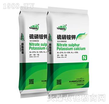 �����@�-���vɭ-�vɭ�ʘI(y��)