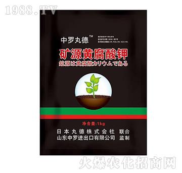 �VԴ�S�����-���_���-���_