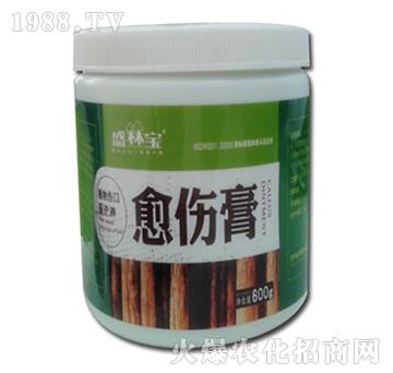 ������-�r��������