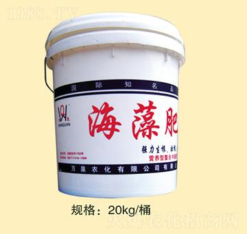 ��������Ͱ-�fȪ�r(n��ng)��