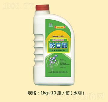 ������-�f(w��n)Ȫ�r(n��ng)��