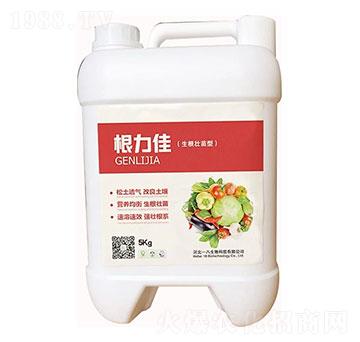 ������-һ������