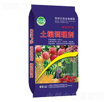 �����{�턩-��@���S-