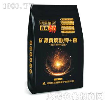 礦源黃腐酸鉀+菌-真有勁-柯易植保