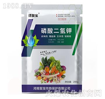 �������⛣�200g��-�͌�����