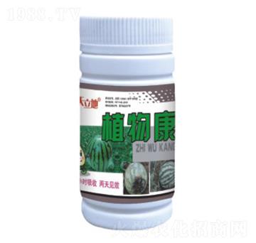 植物康-恒綠植物