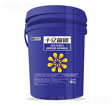 ΢�������-ʮ�|���F-