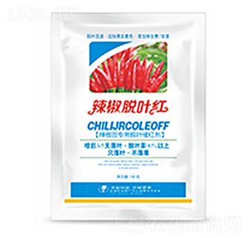 ����Ó�~�t-�����Ƽ�