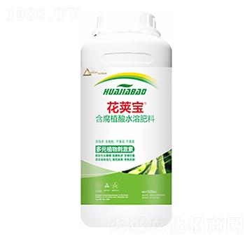 �󶹻�Ӣ��-�����Ƽ�