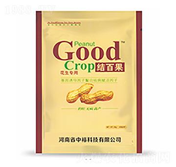 �Y(ji��)�ٹ�-�����Ƽ�