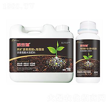 ���ŵ�-�����Ƽ�