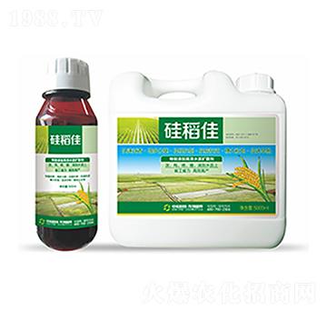 �赾��-�����Ƽ�