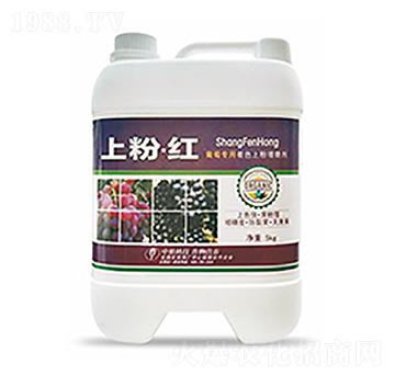 �Ϸۡ��t-��ԣ�Ƽ�