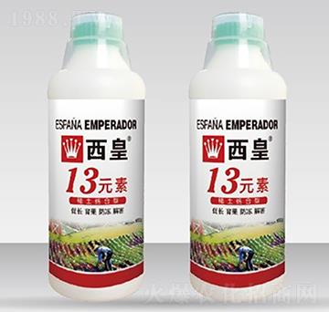 13Ԫ��-����-����˹