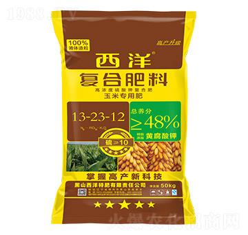 ���׌��Ï�(f��)�Ϸ���13-