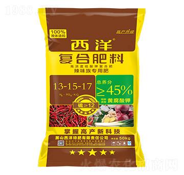 ��ζ�匣�Ï�(f��)�Ϸ���13